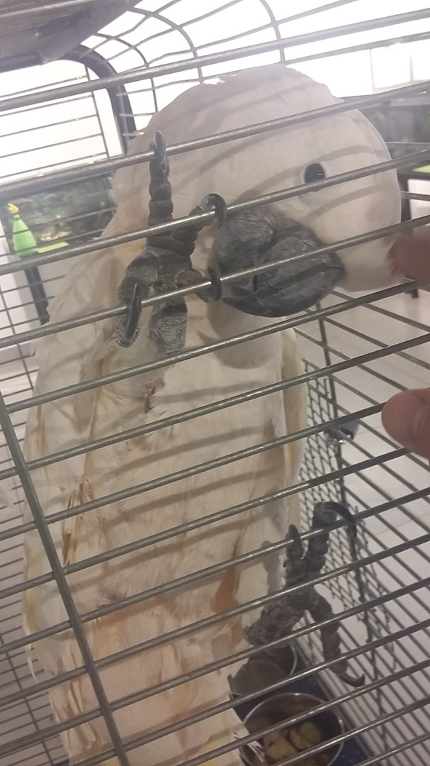 Анастасия Свиридова | Тверь