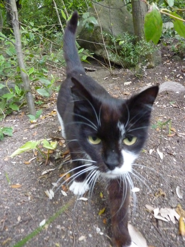 Галина Евдокимова | Сосновый Бор