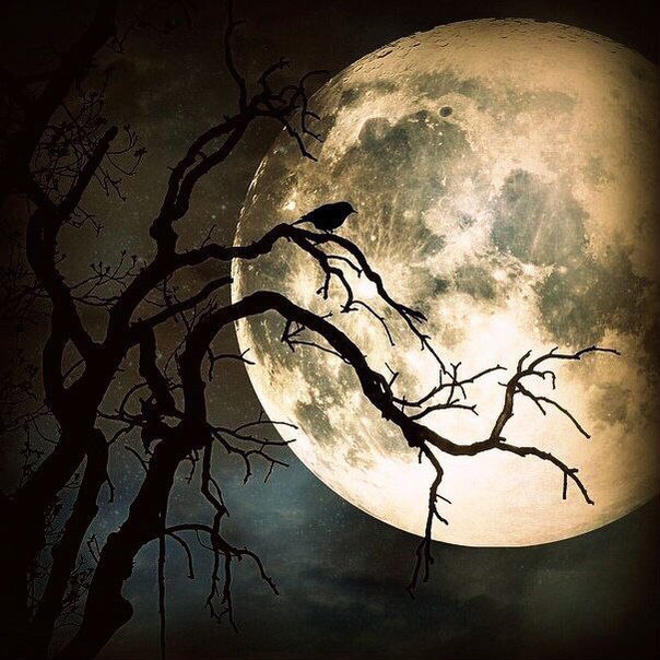 Константин Симонов | Москва