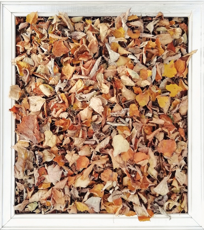 Антон Сабаев | Москва