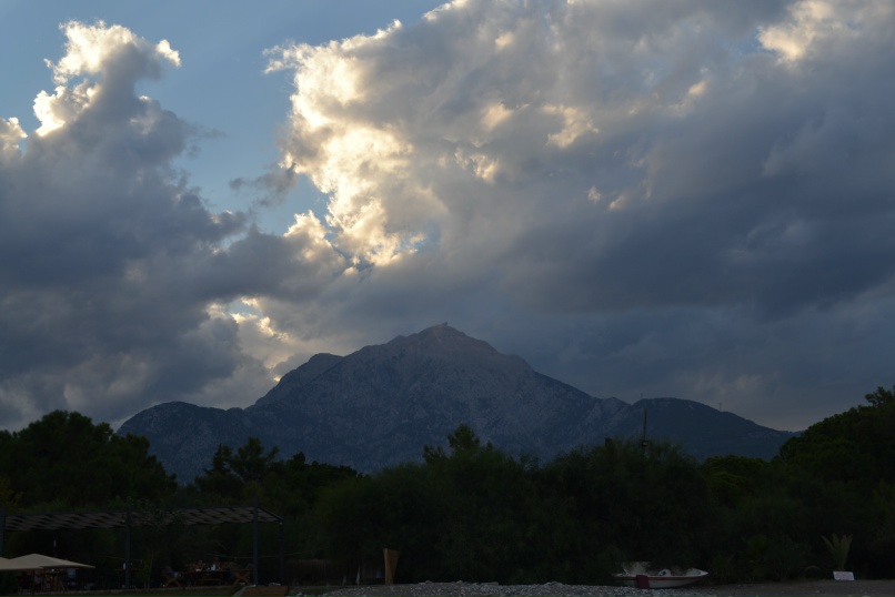 Ирина Глебова | Санкт-Петербург