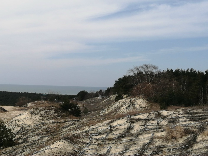 Марина Севастьянова | Санкт-Петербург
