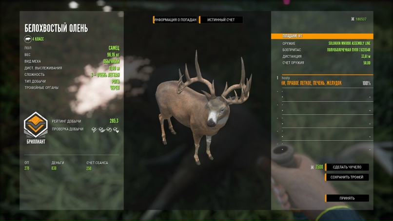 Сергей Тихомиров |