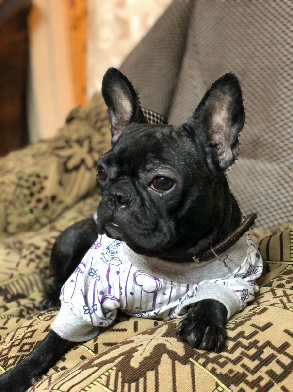 Александра Еремина | Пенза