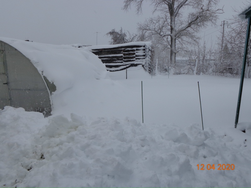 Екатерина Петухова | Пенза