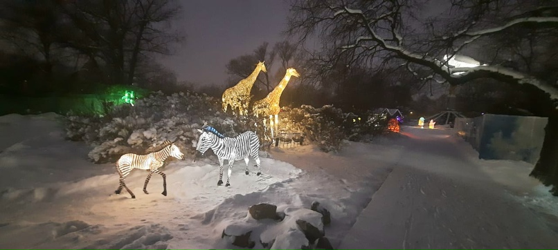 Антон Рубцов | Санкт-Петербург