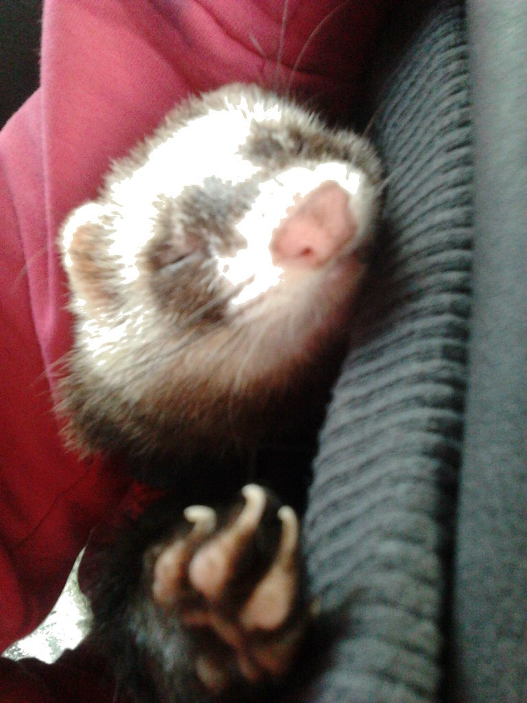 Kat Rina ♥♥♥ |