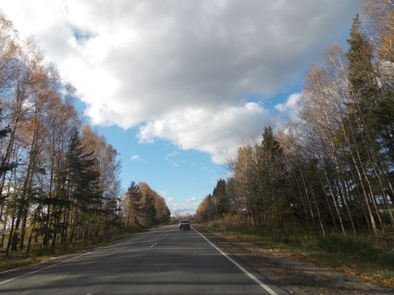 Марина Зотова | Москва