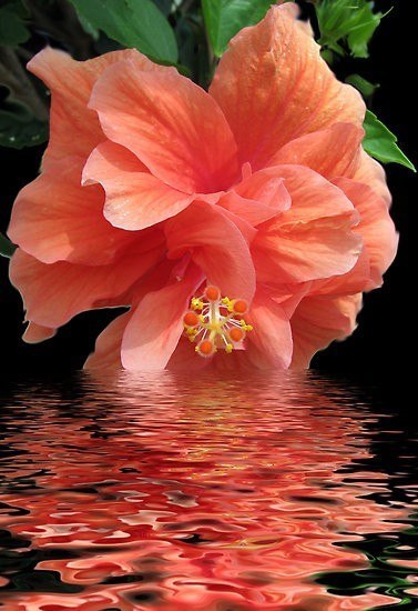 Ольга Арсланова |