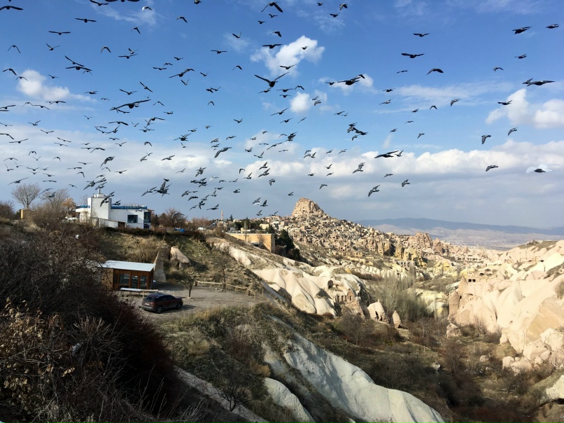 Никита Писцов | Рязань