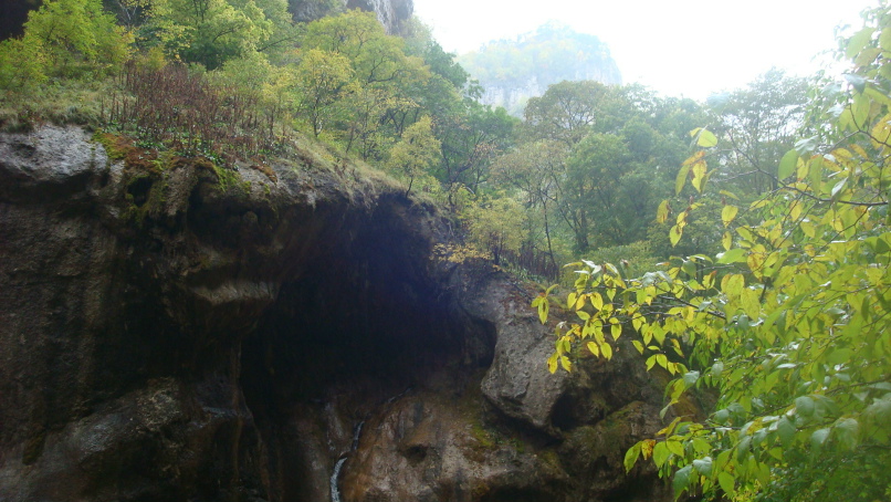 Ольга Васильева | Уфа