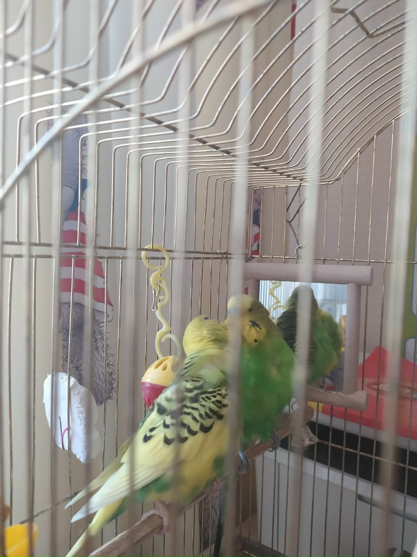 Марина Тюменцева | Барнаул