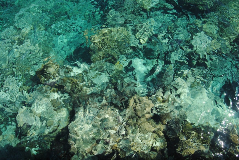 Евгений Корякин Александрович | Москва