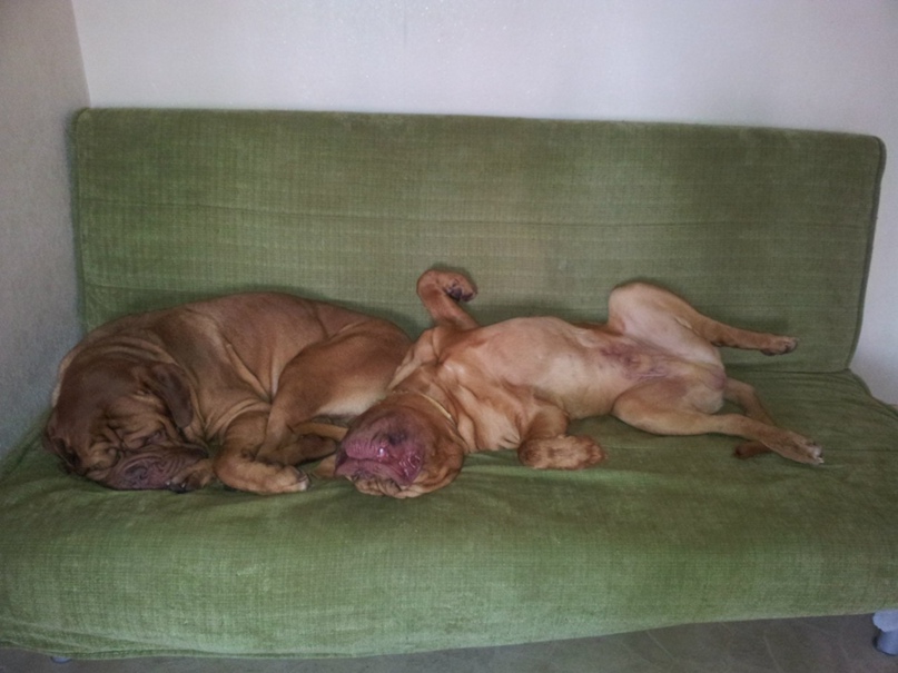 Вячеслав Трифонов | Верх-Тула