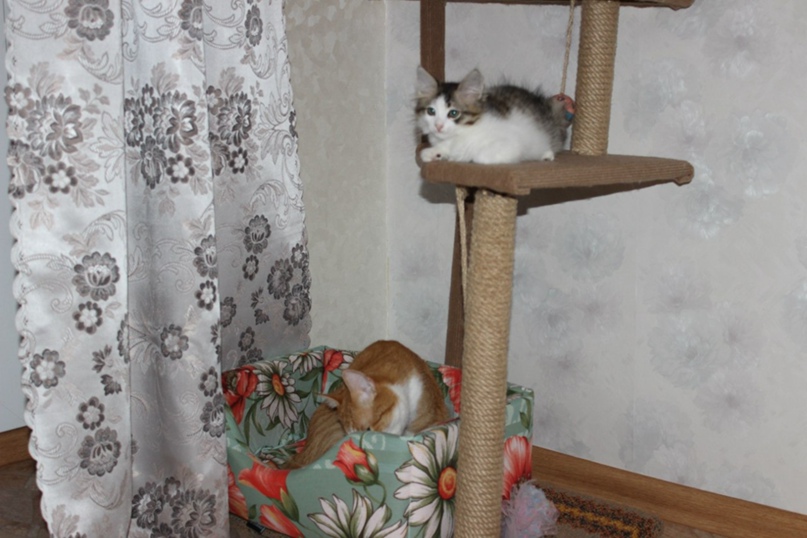 Елена Калюжина | Волгоград