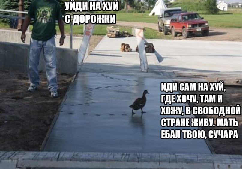 Ivan Gorokhov |
