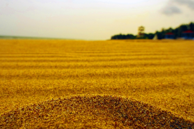 Эльдар Габдуллин | Москва