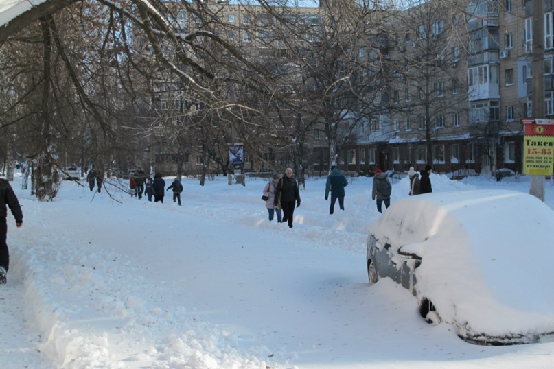 Александр Каминский | Николаев