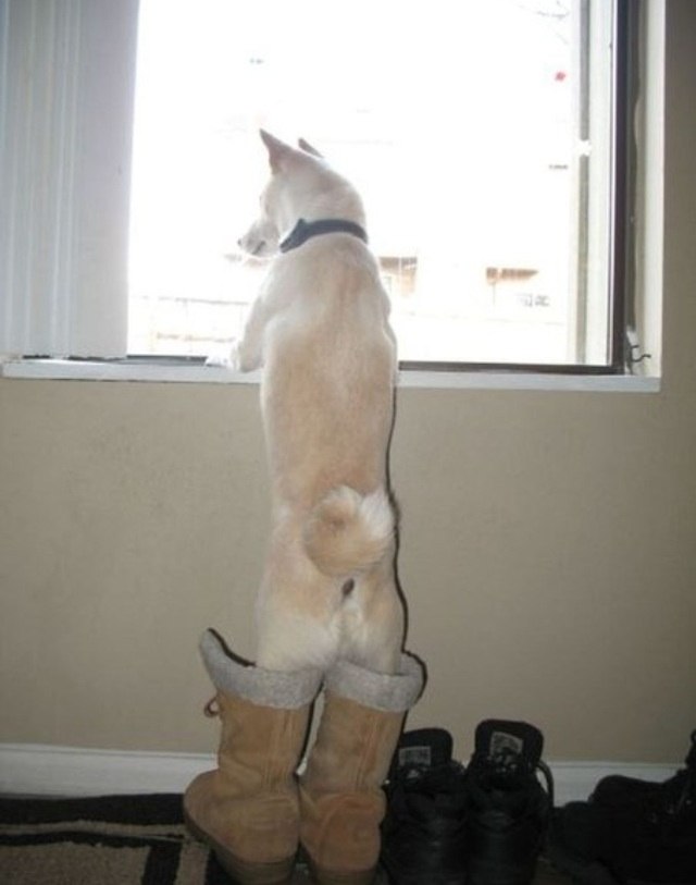 Татьяна Грецкая | Минск