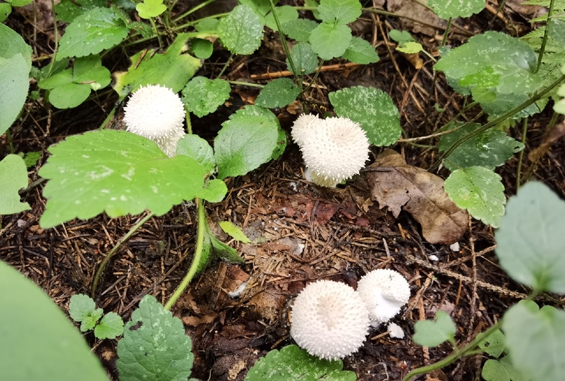 Андрей Матюнин | Ростов-на-Дону