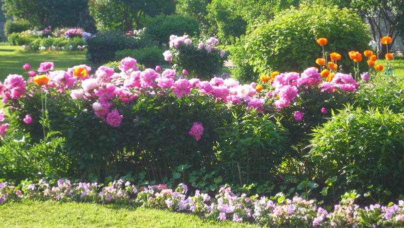 Ольга Лаксаева | Москва