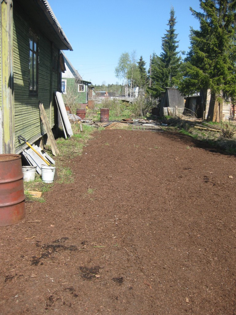 Виталий Гаврилов NoMka | Архангельск