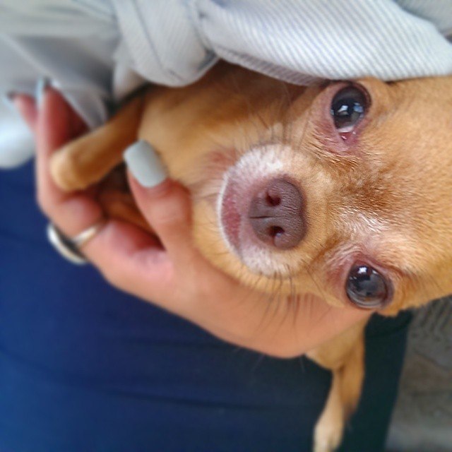 Моя Полянская | Москва