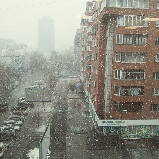Алина Харламова | Новосибирск