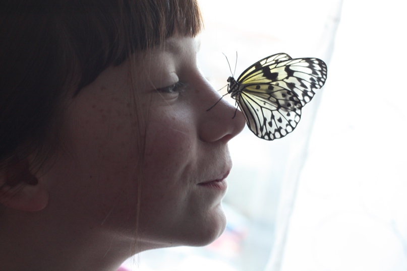 Юлия Лазарева |