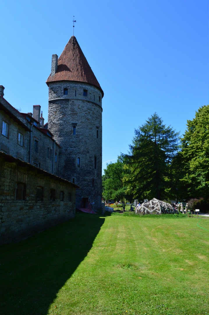 Александра Завгородняя | Москва