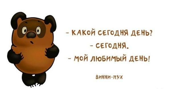 Елена Виноградова | Кинешма