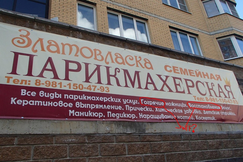 Елена Пашкевич | Санкт-Петербург