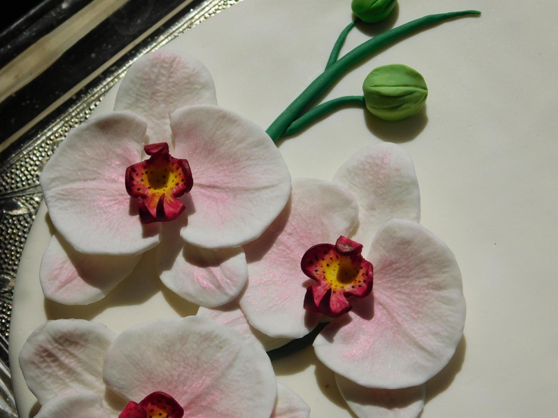 Ирина Паляничка |