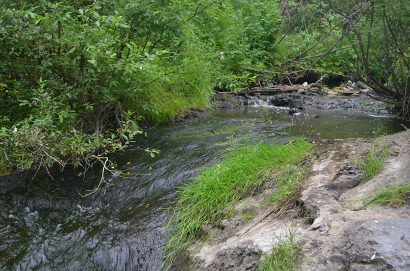 Алексей Кудымов | Пермь