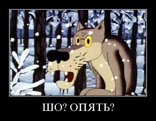 Андрей Колпаков | Краснодар