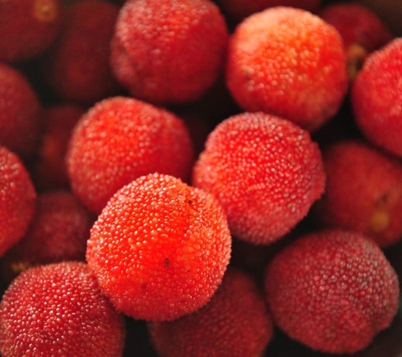 Евгения Ковальчук | Москва