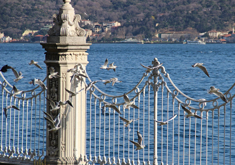 Варвара Володина ♥Краса♥ | Москва