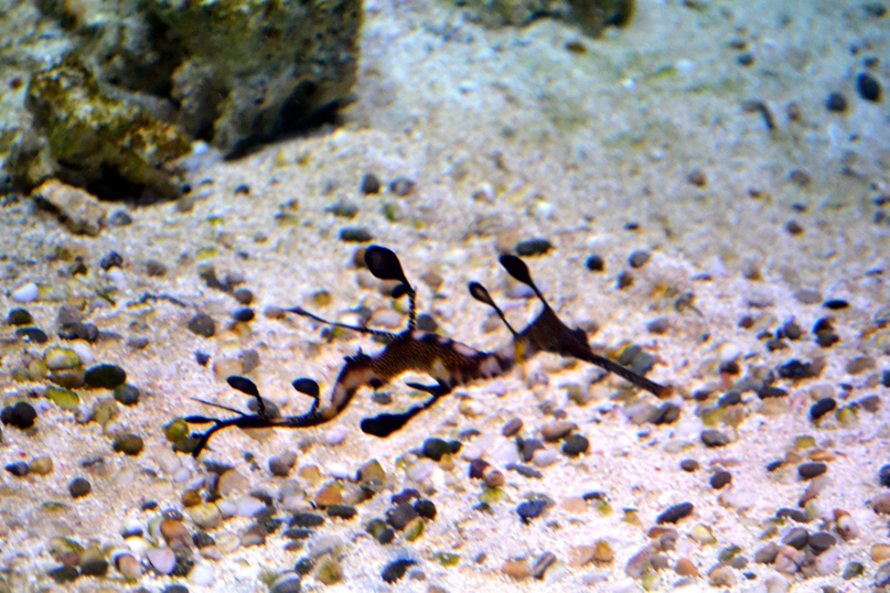 Ольга Мягкая | Москва