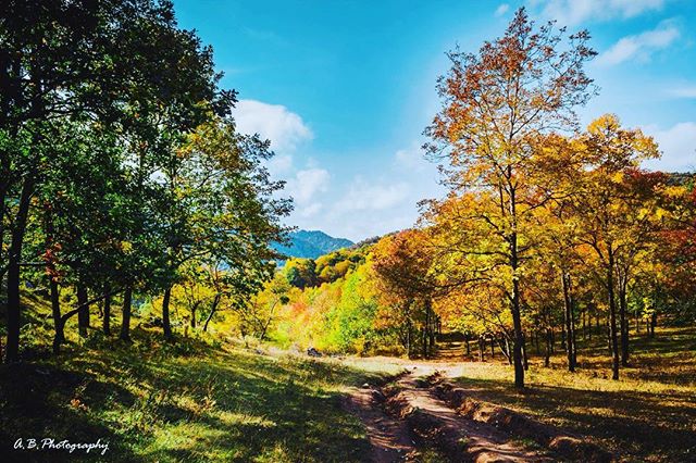 Аршак Бадалян | Москва