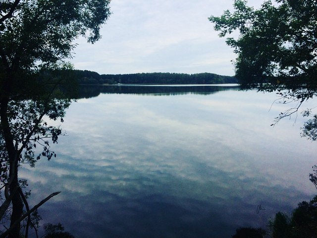 Петр Марков Green D@y | Москва