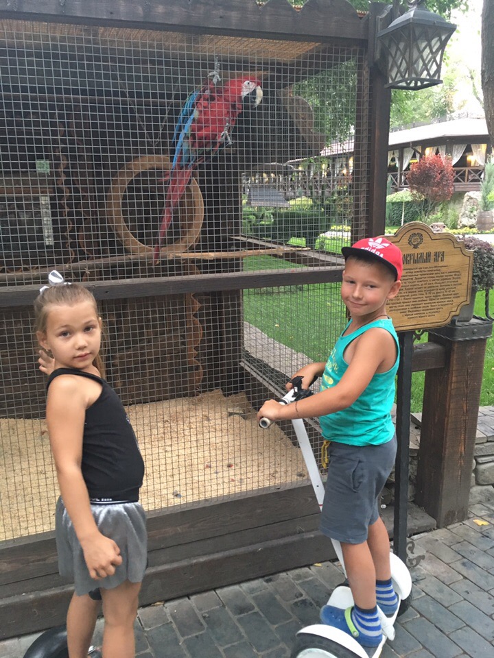 Наталья Зелянина | Луга