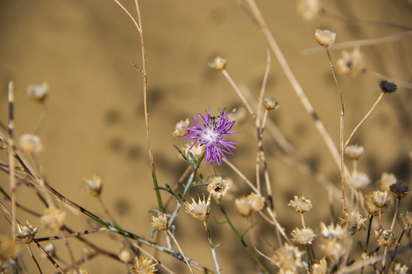 Ольга Супрунова | Санкт-Петербург