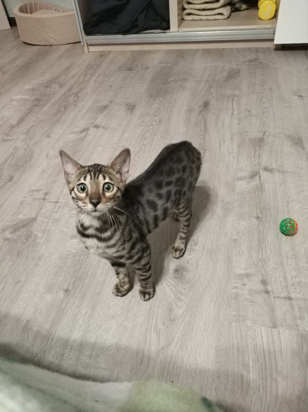 Дмитрий Ежов | Москва