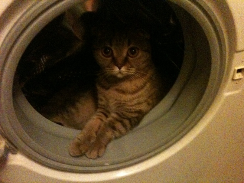 Вера Лещенко | Псков