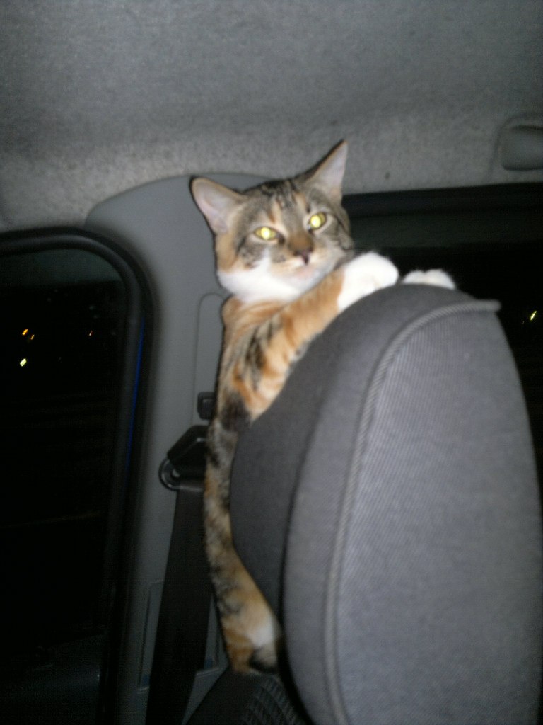 Сергей Быстров | Санкт-Петербург