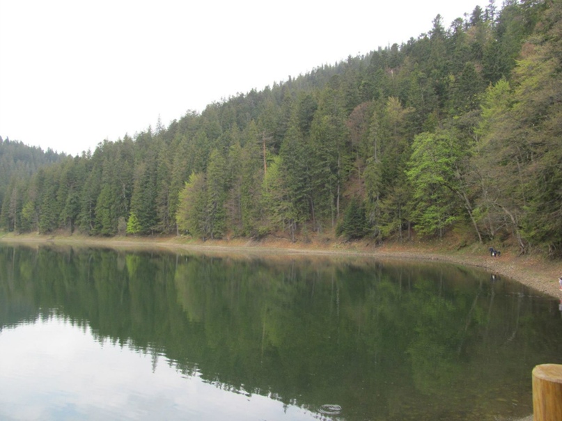 Михаил Спирин lastawaken |