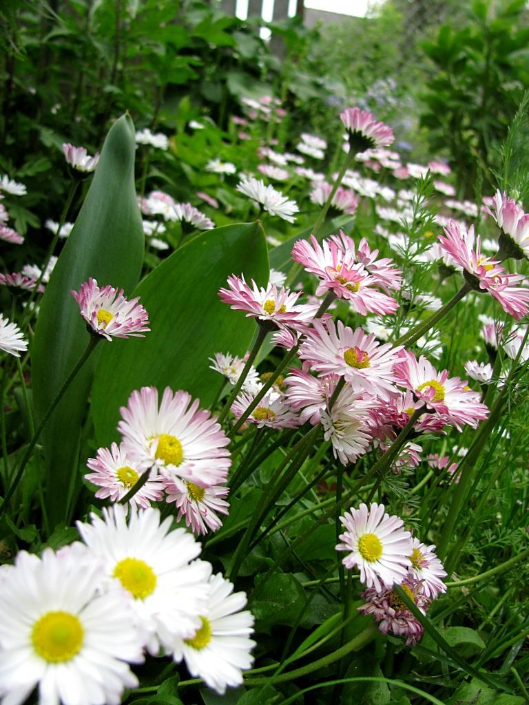 Ольга Кислова | Минск