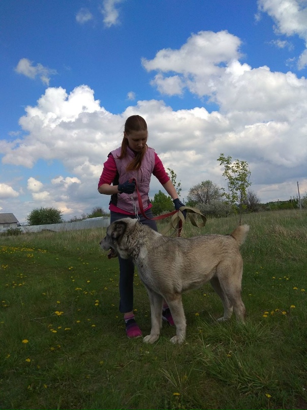 Татьяна Будаева | Тольятти