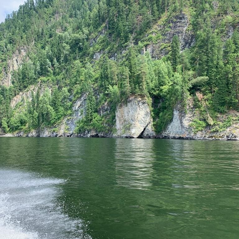 Владимир Курносов | Бийск