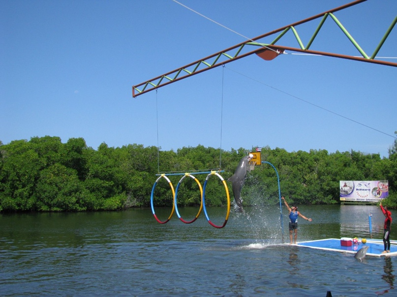 Евгения Хохлова | Москва